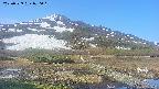area1-20250529070020.jpg