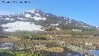 area1-20250529071018.jpg