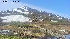 area1-20250529073021.jpg