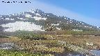 area1-20250529074018.jpg