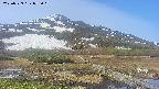 area1-20250529075016.jpg