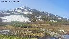 area1-20250529080019.jpg