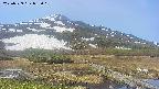 area1-20250529083019.jpg