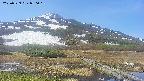 area1-20250529090019.jpg