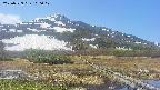 area1-20250529100018.jpg