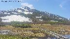 area1-20250529103017.jpg