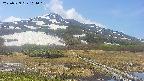 area1-20250529104017.jpg