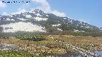 area1-20250529105017.jpg