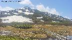area1-20250529110019.jpg