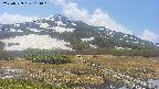area1-20250529111019.jpg