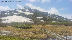 area1-20250529112020.jpg