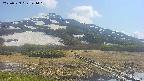 area1-20250529141017.jpg