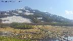 area1-20250529153016.jpg