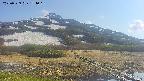 area1-20250529154019.jpg