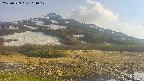 area1-20250529161018.jpg