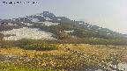 area1-20250529165019.jpg
