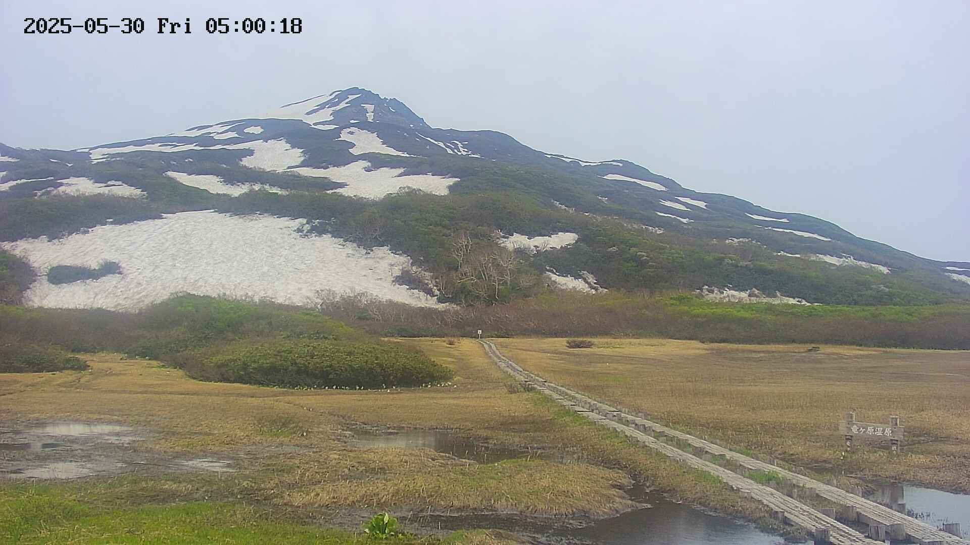 area1-20250530050019.jpg