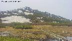 area1-20250530061019.jpg
