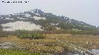 area1-20250530070019.jpg