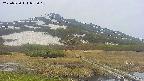 area1-20250530073019.jpg