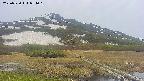 area1-20250530074019.jpg