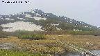 area1-20250530080021.jpg