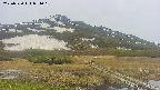 area1-20250530091019.jpg