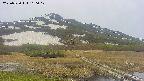 area1-20250530100018.jpg