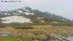 area1-20250530103019.jpg