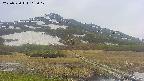 area1-20250530115018.jpg