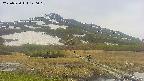 area1-20250530120019.jpg
