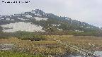 area1-20250530121017.jpg