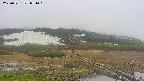 area1-20250531071019.jpg
