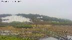 area1-20250531074017.jpg