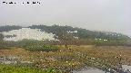area1-20250531081017.jpg