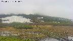 area1-20250531084018.jpg