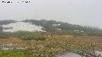 area1-20250531100019.jpg