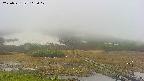 area1-20250531112018.jpg