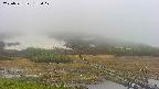 area1-20250531132017.jpg
