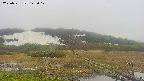 area1-20250531142017.jpg