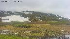 area1-20250601082019.jpg