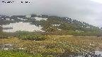 area1-20250601091019.jpg