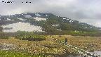 area1-20250601122020.jpg