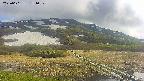 area1-20250601151020.jpg