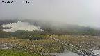 area1-20250601152018.jpg