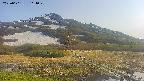 area1-20250601164016.jpg
