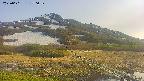 area1-20250601170019.jpg