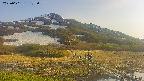 area1-20250601172020.jpg