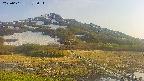 area1-20250601173020.jpg