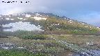 area1-20250602052017.jpg
